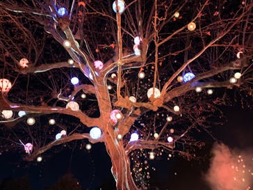 西武園ゆうえんちに投稿された画像（2022/12/30）