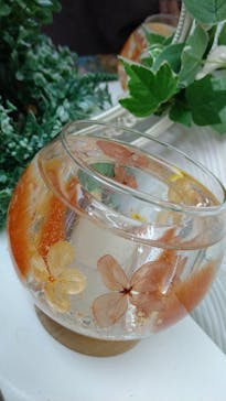 ずこうしつ〜sugamo〜に投稿された画像（2022/12/30）