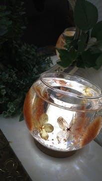 ずこうしつ〜sugamo〜に投稿された画像（2022/12/30）