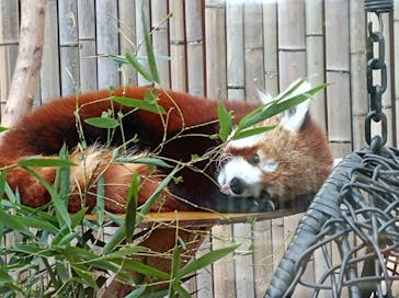 熱川バナナワニ園に投稿された画像（2022/12/30）