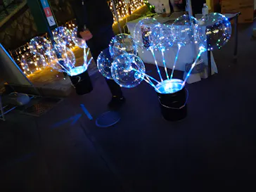 ひらかたパークに投稿された画像（2022/12/30）