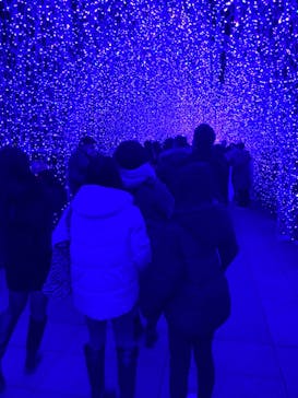 江の島シーキャンドルに投稿された画像（2022/12/30）