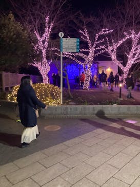 江の島シーキャンドルに投稿された画像（2022/12/30）