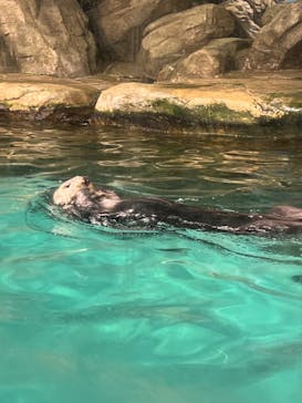 マリンワールド海の中道に投稿された画像（2022/12/30）