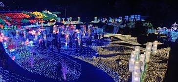 伊豆ぐらんぱる公園に投稿された画像（2022/12/30）