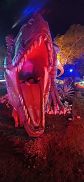 伊豆ぐらんぱる公園に投稿された画像（2022/12/30）