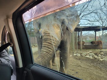 那須サファリパークに投稿された画像（2022/12/30）