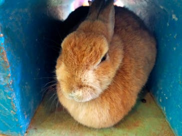 那須サファリパークに投稿された画像（2022/12/30）