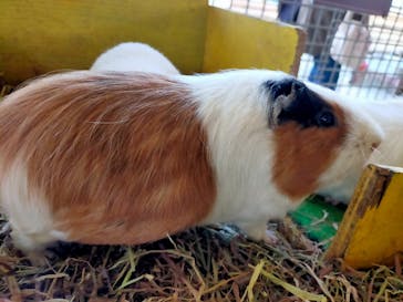 那須サファリパークに投稿された画像（2022/12/30）