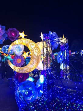 伊豆ぐらんぱる公園に投稿された画像（2022/12/30）