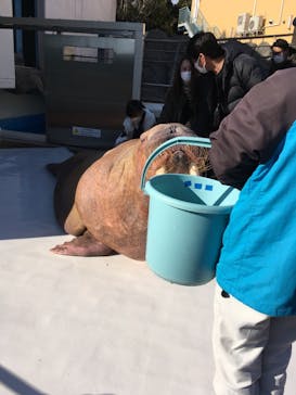 南知多ビーチランド＆南知多おもちゃ王国に投稿された画像（2022/12/30）