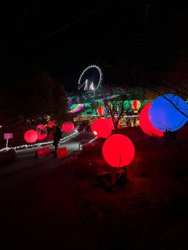 さがみ湖MORI MORIに投稿された画像（2022/12/30）