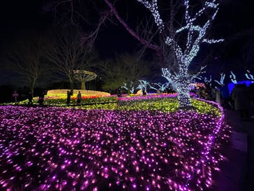 さがみ湖MORI MORIに投稿された画像（2022/12/30）