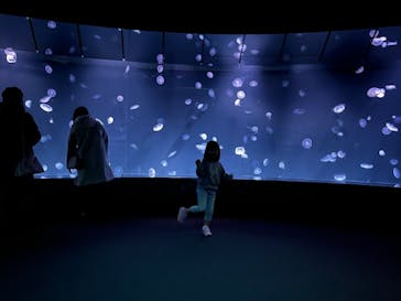 サンシャイン水族館に投稿された画像（2022/12/31）