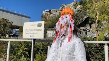 サンシャイン水族館に投稿された画像（2022/12/31）