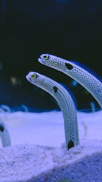 マリンワールド海の中道に投稿された画像（2022/12/31）