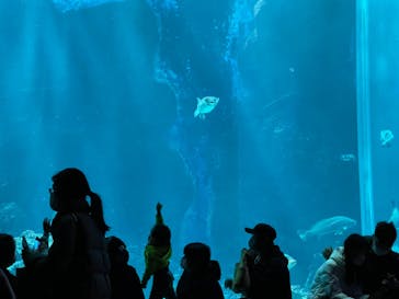 マリンワールド海の中道に投稿された画像（2022/12/31）