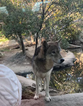 神戸どうぶつ王国に投稿された画像（2022/12/31）