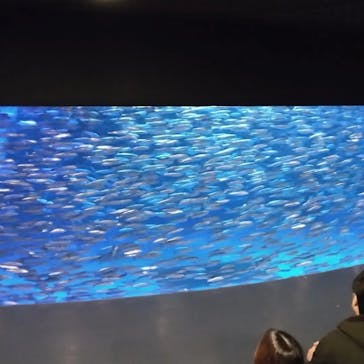 登別マリンパークニクスに投稿された画像（2022/12/31）