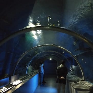 登別マリンパークニクスに投稿された画像（2022/12/31）