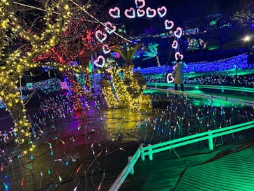 伊豆ぐらんぱる公園に投稿された画像（2022/12/31）