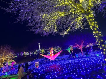 伊豆ぐらんぱる公園に投稿された画像（2022/12/31）