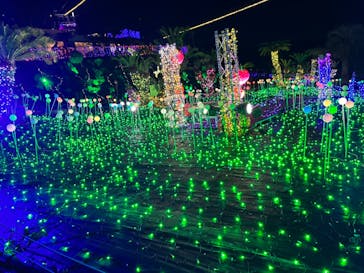 伊豆ぐらんぱる公園に投稿された画像（2022/12/31）