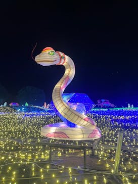 伊豆ぐらんぱる公園に投稿された画像（2022/12/31）