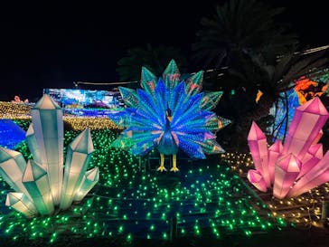 伊豆ぐらんぱる公園に投稿された画像（2022/12/31）