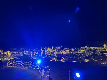 いばらきフラワーパークに投稿された画像（2022/12/31）