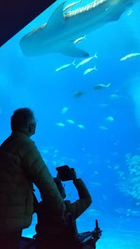 沖縄美ら海水族館に投稿された画像（2022/12/30）