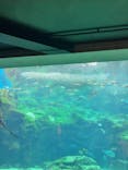 九十九島水族館海きららに投稿された画像（2022/12/31）