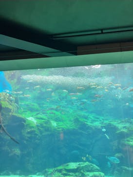九十九島水族館海きららに投稿された画像（2022/12/31）
