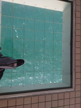 徳島県立 渦の道に投稿された画像（2022/12/31）