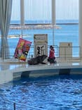 アクアワールド茨城県大洗水族館に投稿された画像（2022/12/31）