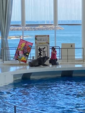 アクアワールド茨城県大洗水族館に投稿された画像（2022/12/31）