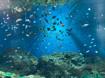 アクアワールド茨城県大洗水族館に投稿された画像（2022/12/31）