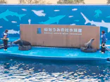 仙台うみの杜水族館に投稿された画像（2022/12/31）
