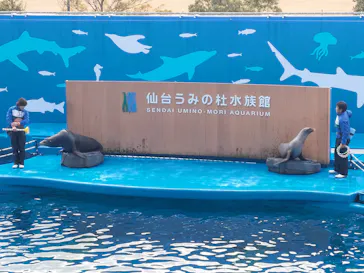 仙台うみの杜水族館に投稿された画像（2022/12/31）