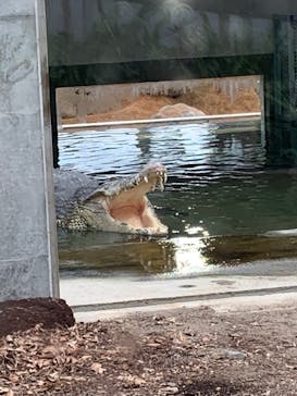 体感型動物園iZooに投稿された画像（2022/12/31）