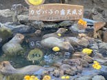 伊豆シャボテン動物公園に投稿された画像（2022/12/31）