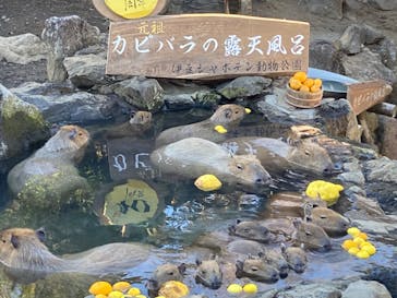 伊豆シャボテン動物公園に投稿された画像（2022/12/31）