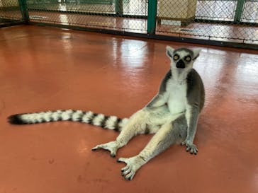 那須ワールドモンキーパークに投稿された画像（2022/12/31）