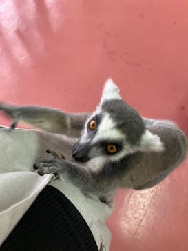 那須ワールドモンキーパークに投稿された画像（2022/12/31）