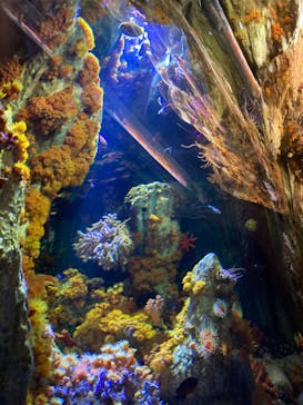 サンシャイン水族館に投稿された画像（2022/12/31）