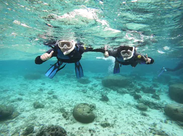 武藤潜水に投稿された画像（2022/12/31）