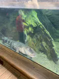 天王寺動物園に投稿された画像（2022/12/3）