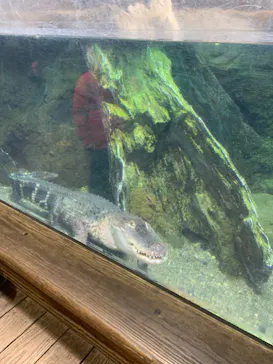 天王寺動物園に投稿された画像（2022/12/3）