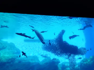仙台うみの杜水族館に投稿された画像（2022/12/31）