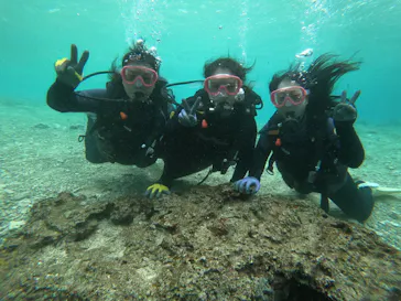 武藤潜水に投稿された画像（2022/12/31）